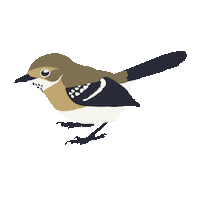 Hawaii Sticker by Momohara Media