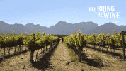 Ice Cream Wine GIF by Nederburg