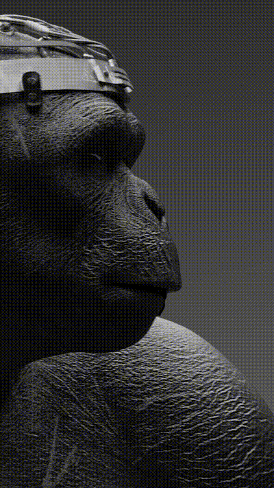 Sigma Ape GIF by BRAVO READY