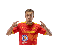 lesvikingsdecaen handball proligue caenhandball lesvikingsdecaen Sticker