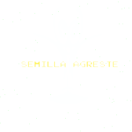 S_Agreste giphyupload happy good morning time Sticker