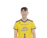 Kb스타즈 Sticker by KB STARS VOLLEYBALL CLUB