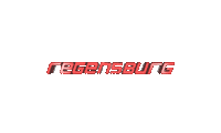 regensburg eisbren Sticker by eisbaeren-regensburg