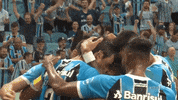 futebol GIF by Grêmio