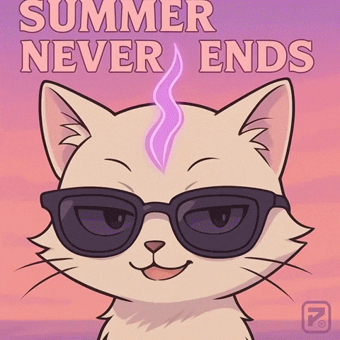 Carry Me Cool Cat GIF by Persona