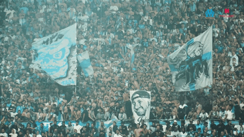 Fans Dodgers GIF by Olympique de Marseille
