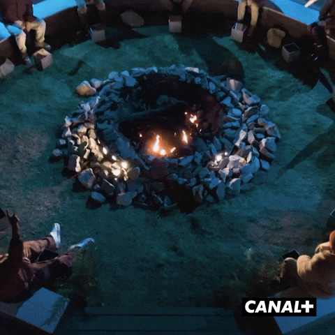 Vote Irl GIF by CANAL+
