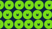 Football Nfl GIF by Seattle Seahawks