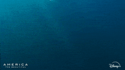 Ocean Swimming GIF by Nat Geo Wild
