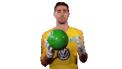 World Cup Football Sticker by VfL Wolfsburg