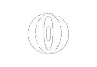 Circles Sticker