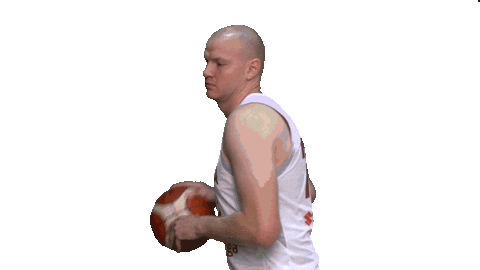World Cup Sticker by FIBA