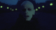 phantom der nacht vampyre GIF