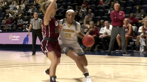 Gomocs GIF by Chattanooga Mocs