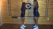 cnvb 2018cnvb GIF by Carson-Newman Athletics