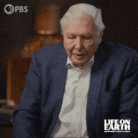 David Attenborough GIF by PBS