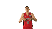 Cskabasket Sticker by CSKA Moscow