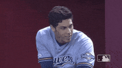 Major League Baseball Smile GIF by MLB