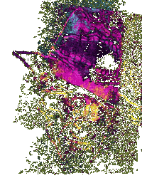 Sticker Reaction Sticker by Dax Norman