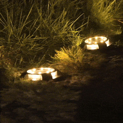 Soolaa giphyupload GIF