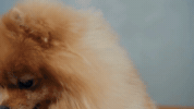 GIF by Hey Holy