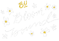 College University Sticker