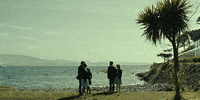 the lobster GIF by A24