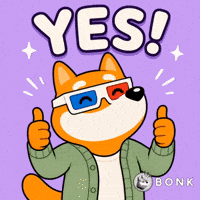 Crypto Yes GIF by BONK