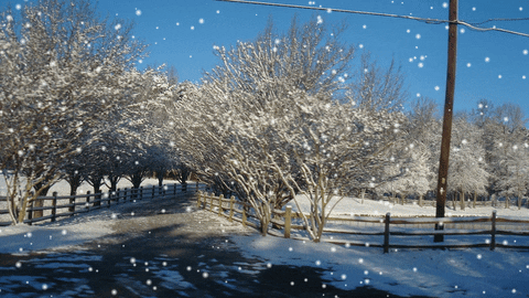 snowy GIF