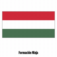 Hungary Flag GIF by Formación Ninja