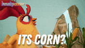 Camping Long Weekend GIF by Wind Sun Sky Entertainment