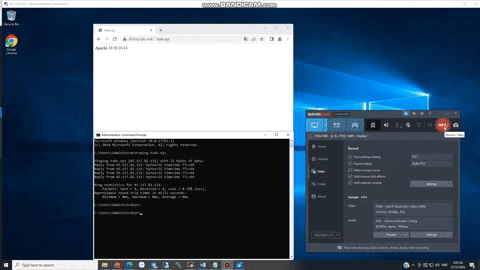 xdinhtu1989 giphyupload GIF