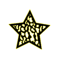Art Star Sticker by Blkchetah