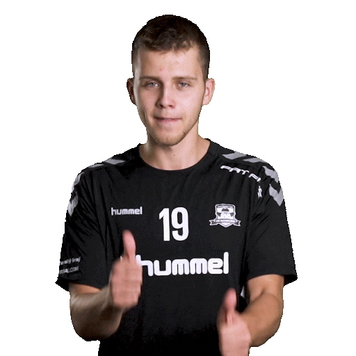 hattrick-brno sport floorball salibandy innebandy Sticker