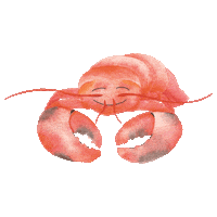 Happy Sea Sticker by Lilies Berlin