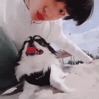 tamazin stray kids skz straykids hyunjin GIF