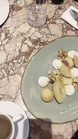 Travel Cafe GIF by Casol