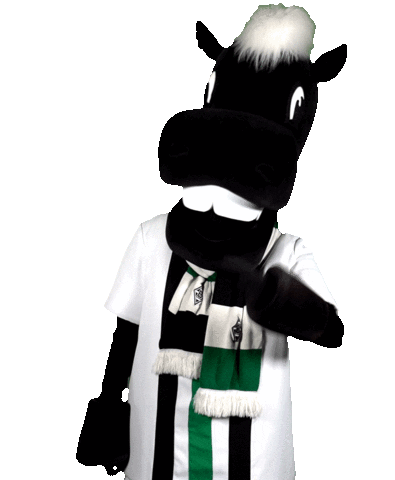 Bmg Fohlen Sticker by Borussia Mönchengladbach