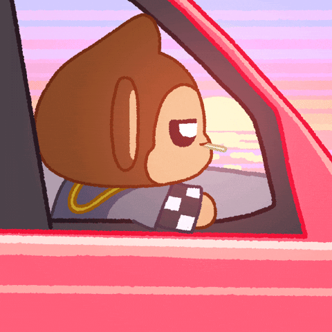 Whats Up What GIF by Chimpers