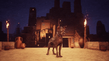 Conan Exiles Dog GIF by Funcom