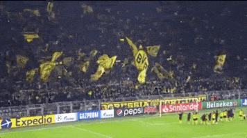 Champions League Football GIF by UEFA