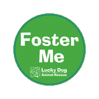 Ldar Sticker by Lucky Dog Animal Rescue
