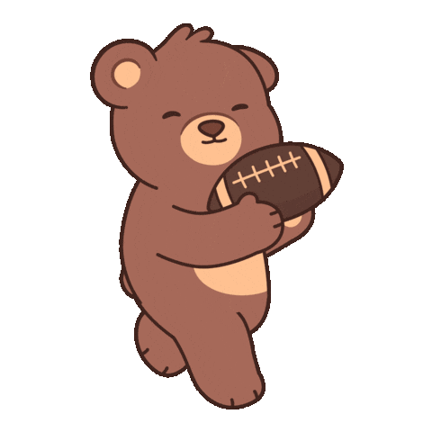 Super Bowl Win Sticker by BEARISH