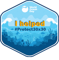Badge Oceansday Sticker by World Ocean Day