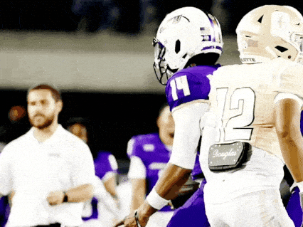 Football Celebrate GIF by JMUDukes