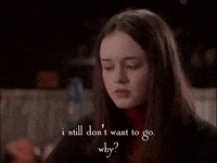 season 1 netflix GIF by Gilmore Girls 