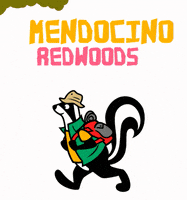 SkunkTrain california hiking backpacking redwoods GIF