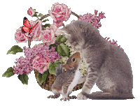 cats STICKER