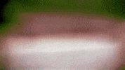 Video Art Fun GIF