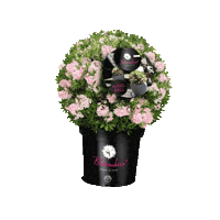 Flower Plant Sticker by INKARHO
